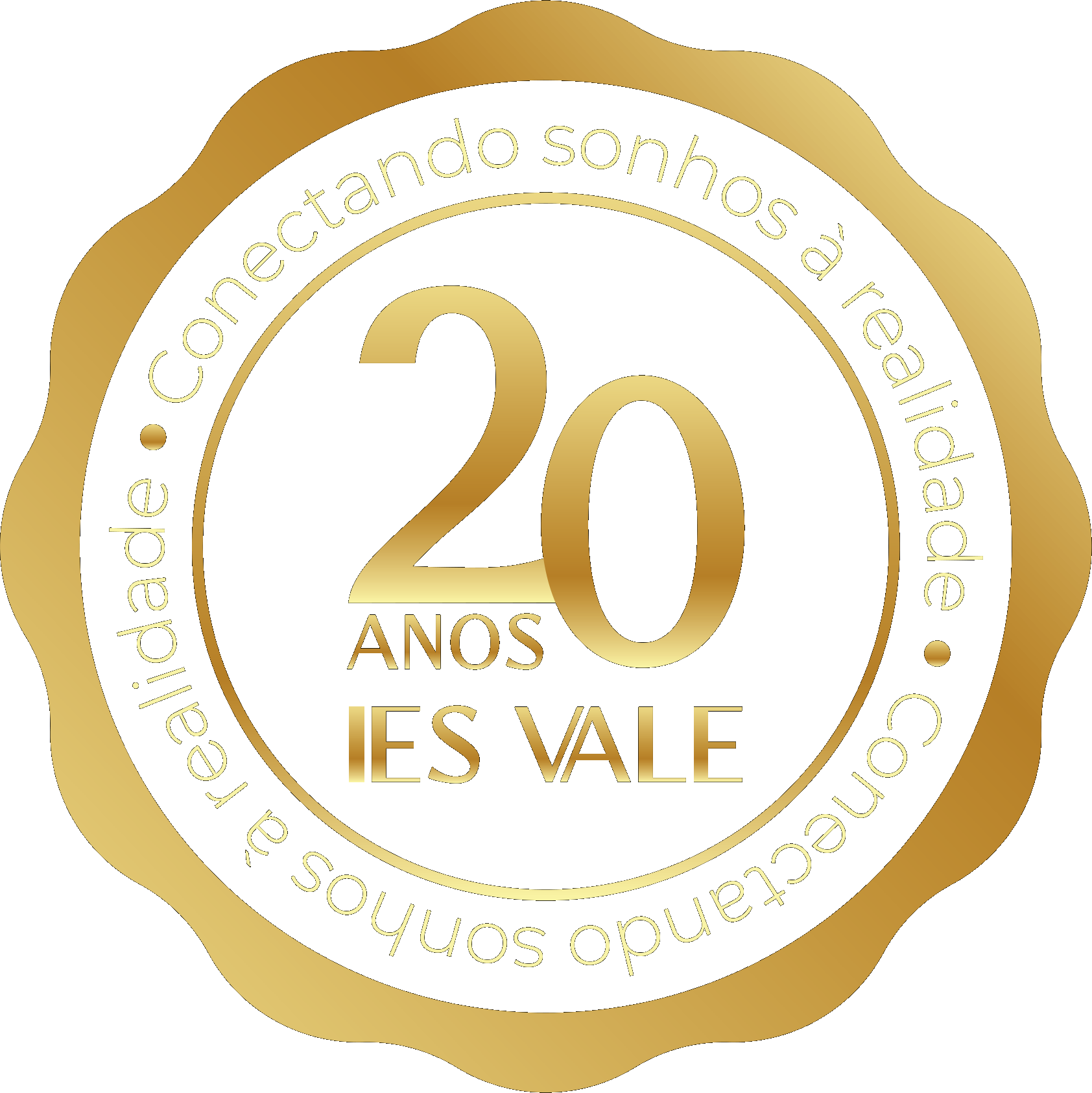 Selo 20 anos IES VALE 2006-2026